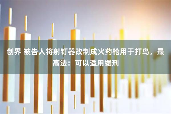 创界 被告人将射钉器改制成火药枪用于打鸟，最高法：可以适用缓刑