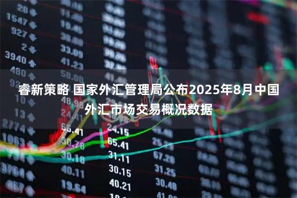 睿新策略 国家外汇管理局公布2025年8月中国外汇市场交易概况数据