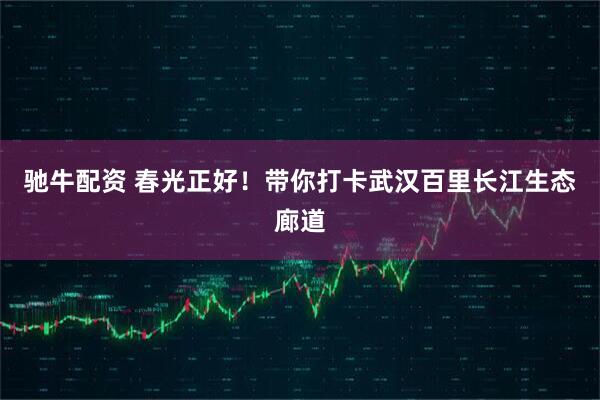 驰牛配资 春光正好！带你打卡武汉百里长江生态廊道