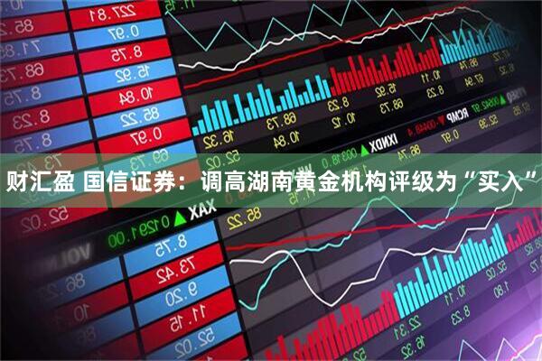 财汇盈 国信证券：调高湖南黄金机构评级为“买入”